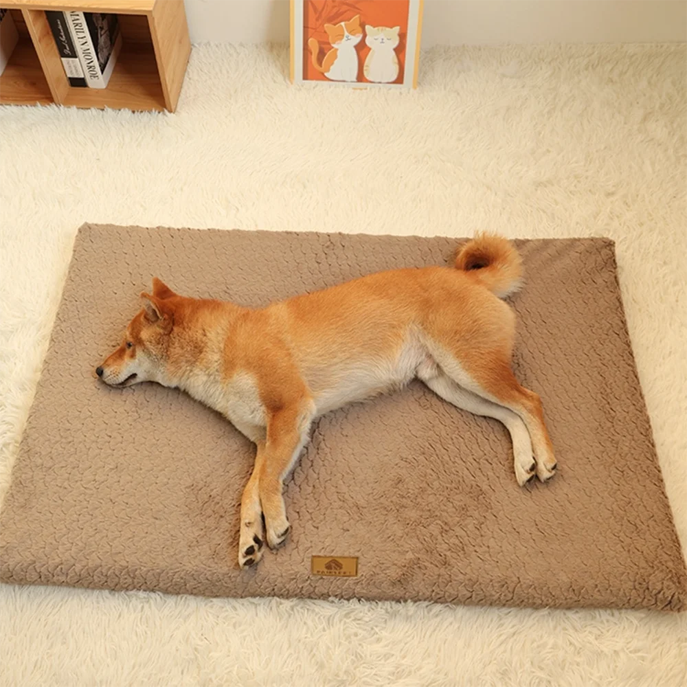 Lit Orthopédique pour Chien