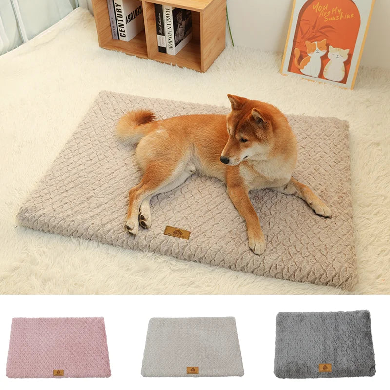 Lit Orthopédique pour Chien
