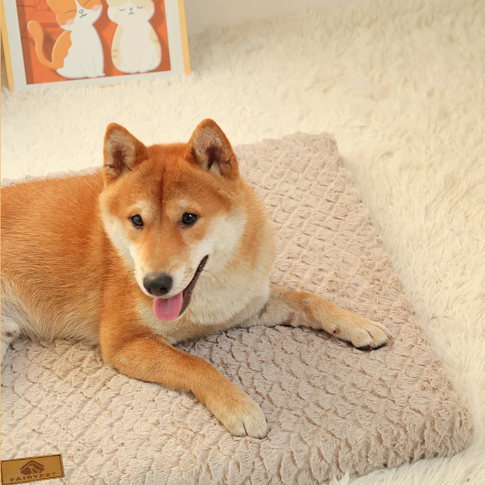 Lit Orthopédique pour Chien