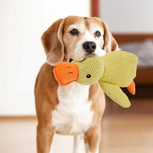 Calming Duck for Dogs