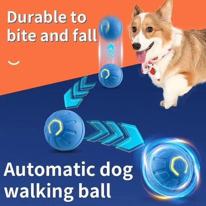 Smart Dog&Cat Toy Ball