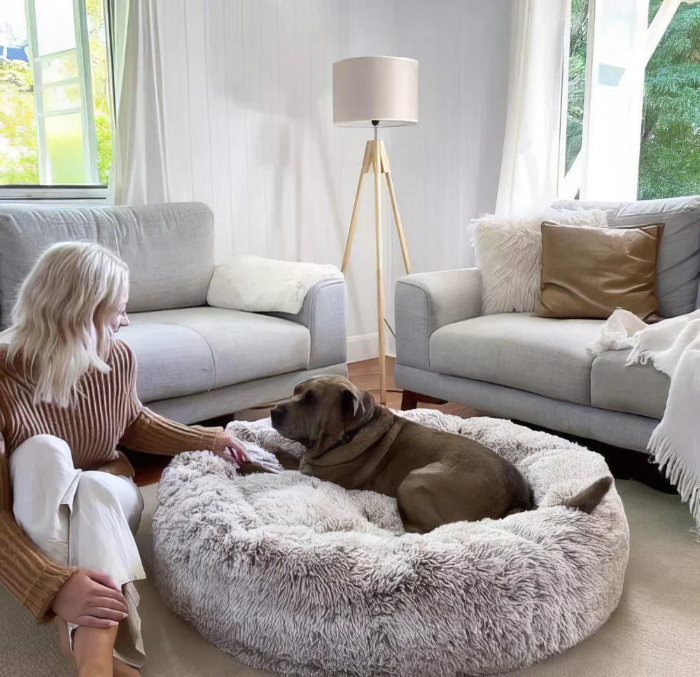 Lit Calmant Apaisant pour Chien et Chat