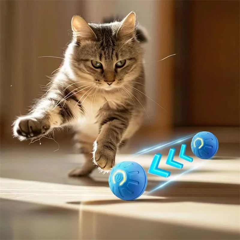 Smart Dog&Cat Toy Ball