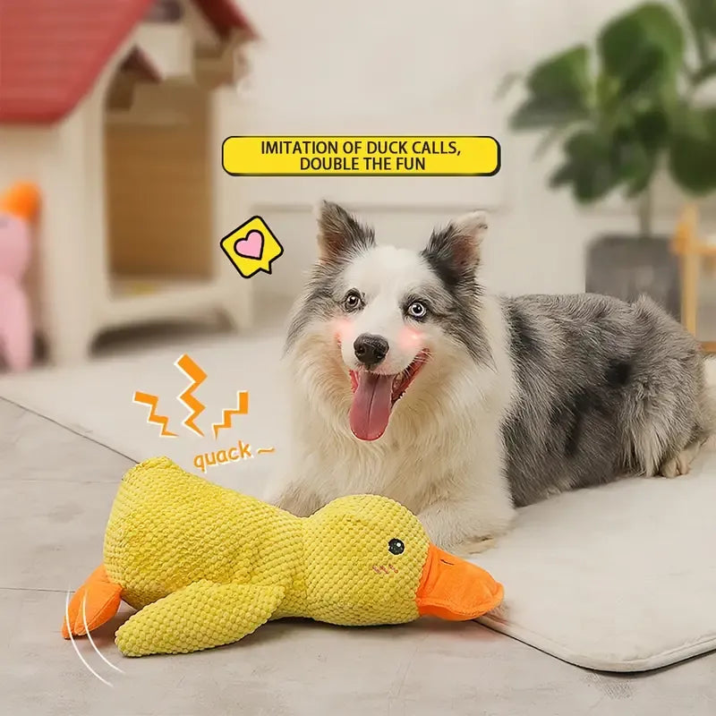 Calming Duck for Dogs