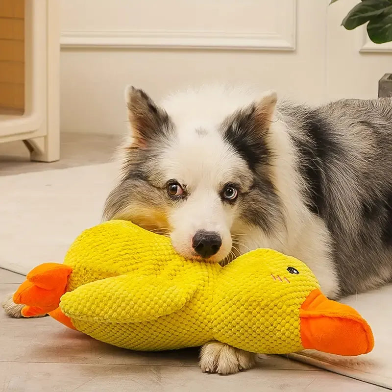 Calming Duck for Dogs