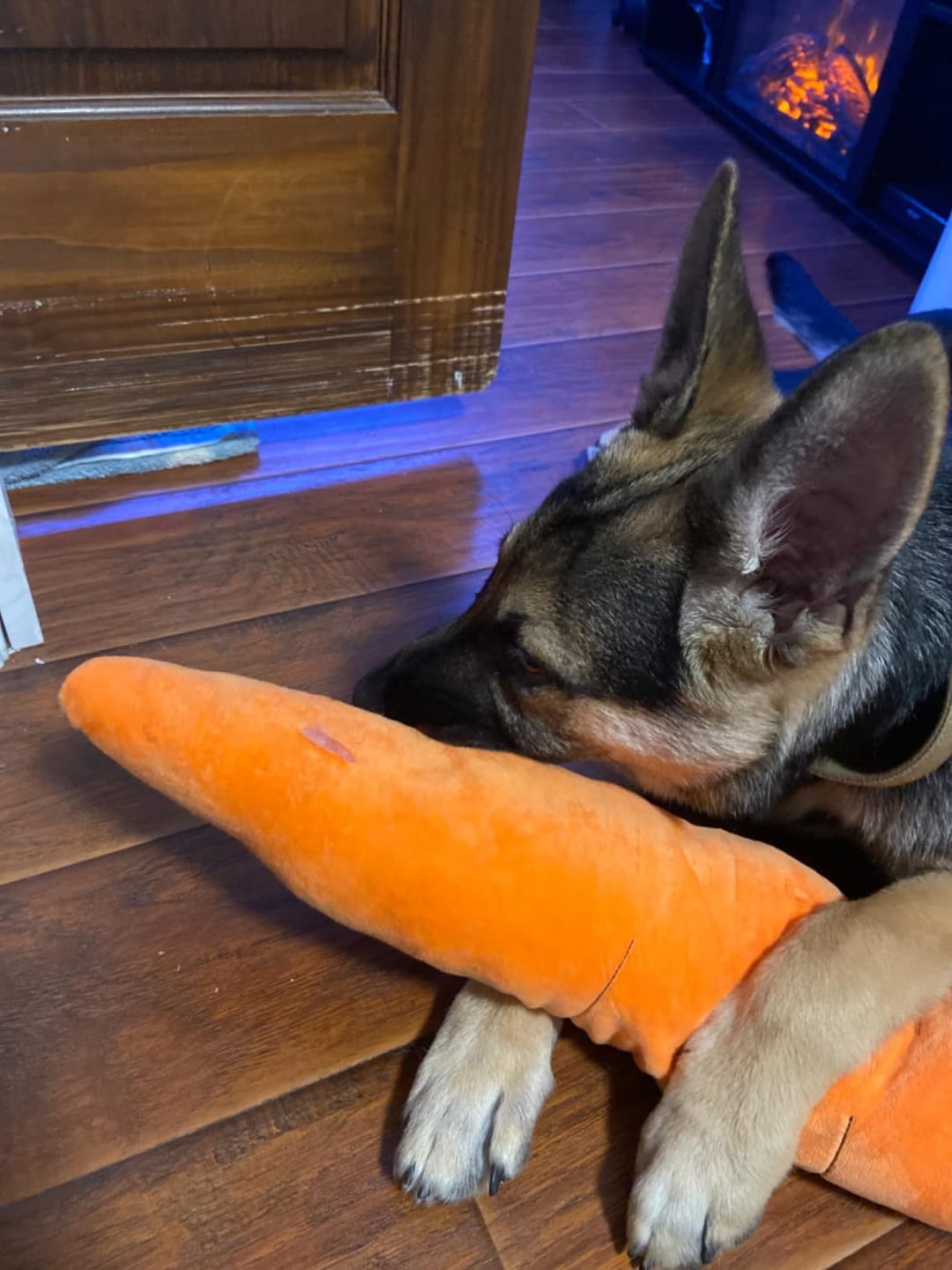 Soothing Carrot for Dogs