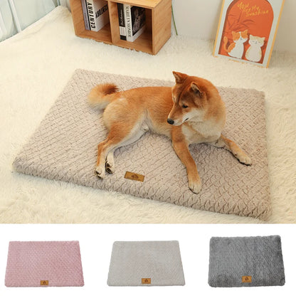 Lit Orthopédique pour Chien