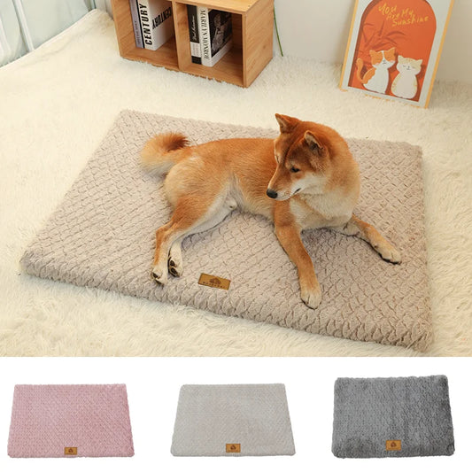 Lit Orthopédique pour Chien