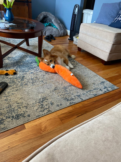 Soothing Carrot for Dogs