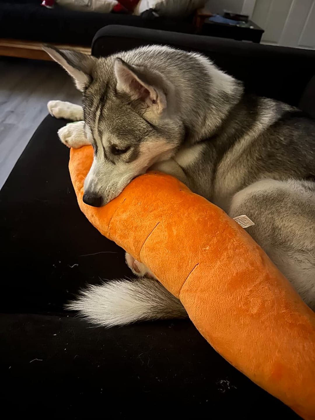 Soothing Carrot for Dogs