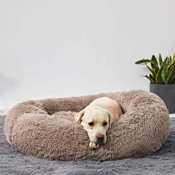 Lit Calmant Apaisant pour Chien et Chat