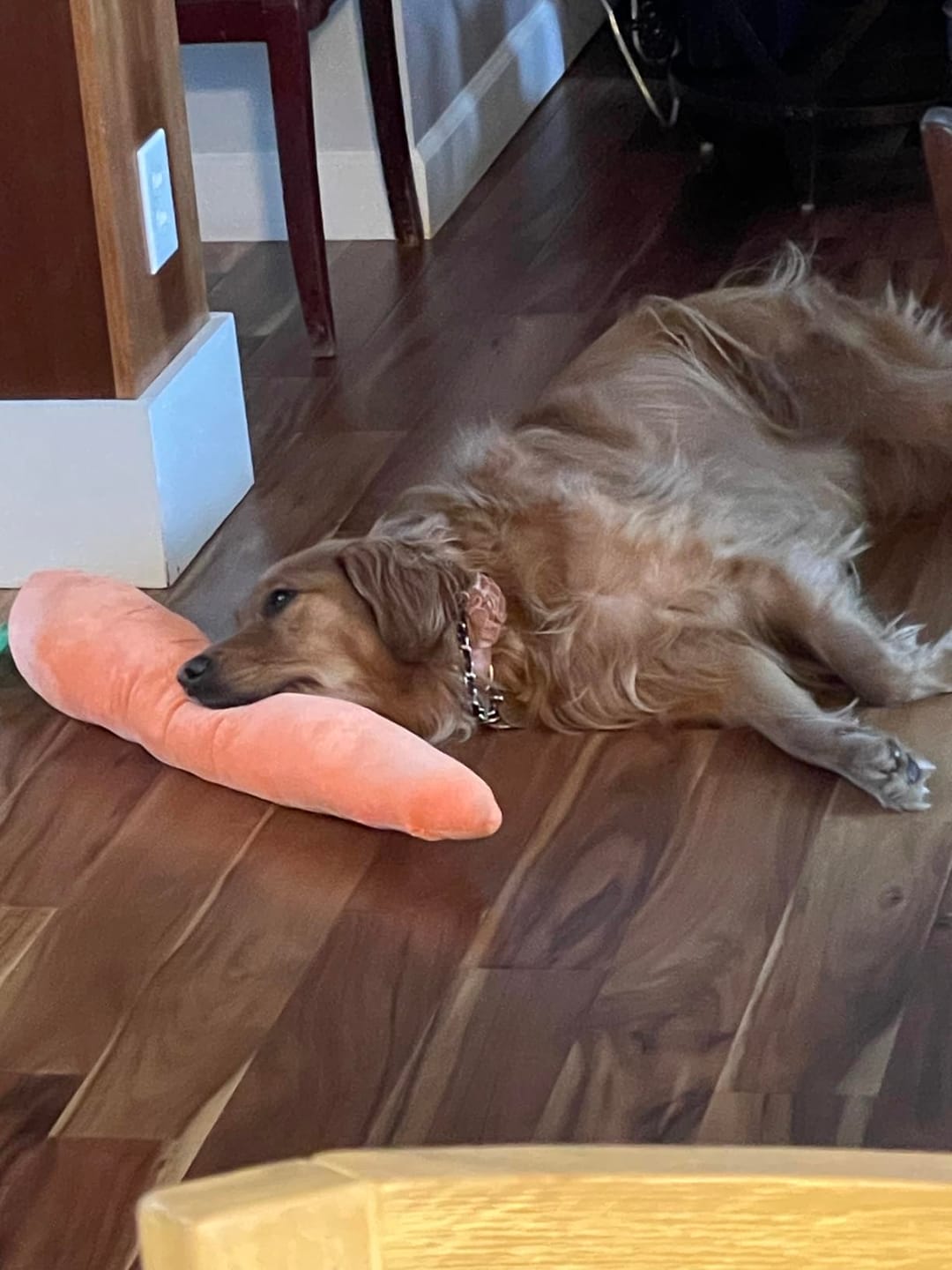 Soothing Carrot for Dogs