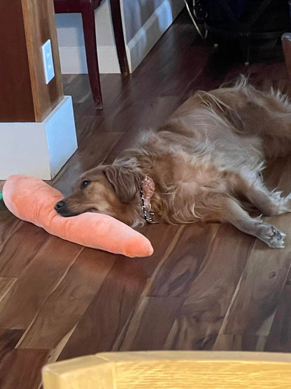 Soothing Carrot for Dogs